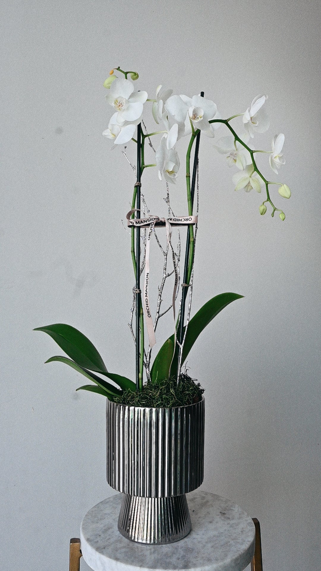 Orchid Silver